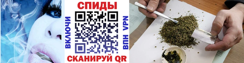 Купить  Карабулак  БУТИРАТ буратино 