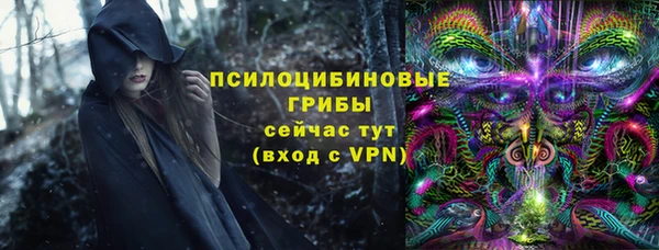 ешки Дмитров